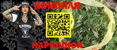 индика Будённовск