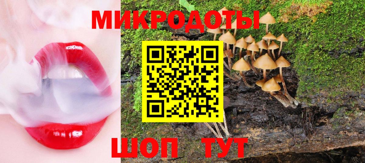 Псилоцибиновые грибы Psilocybe Назрань
